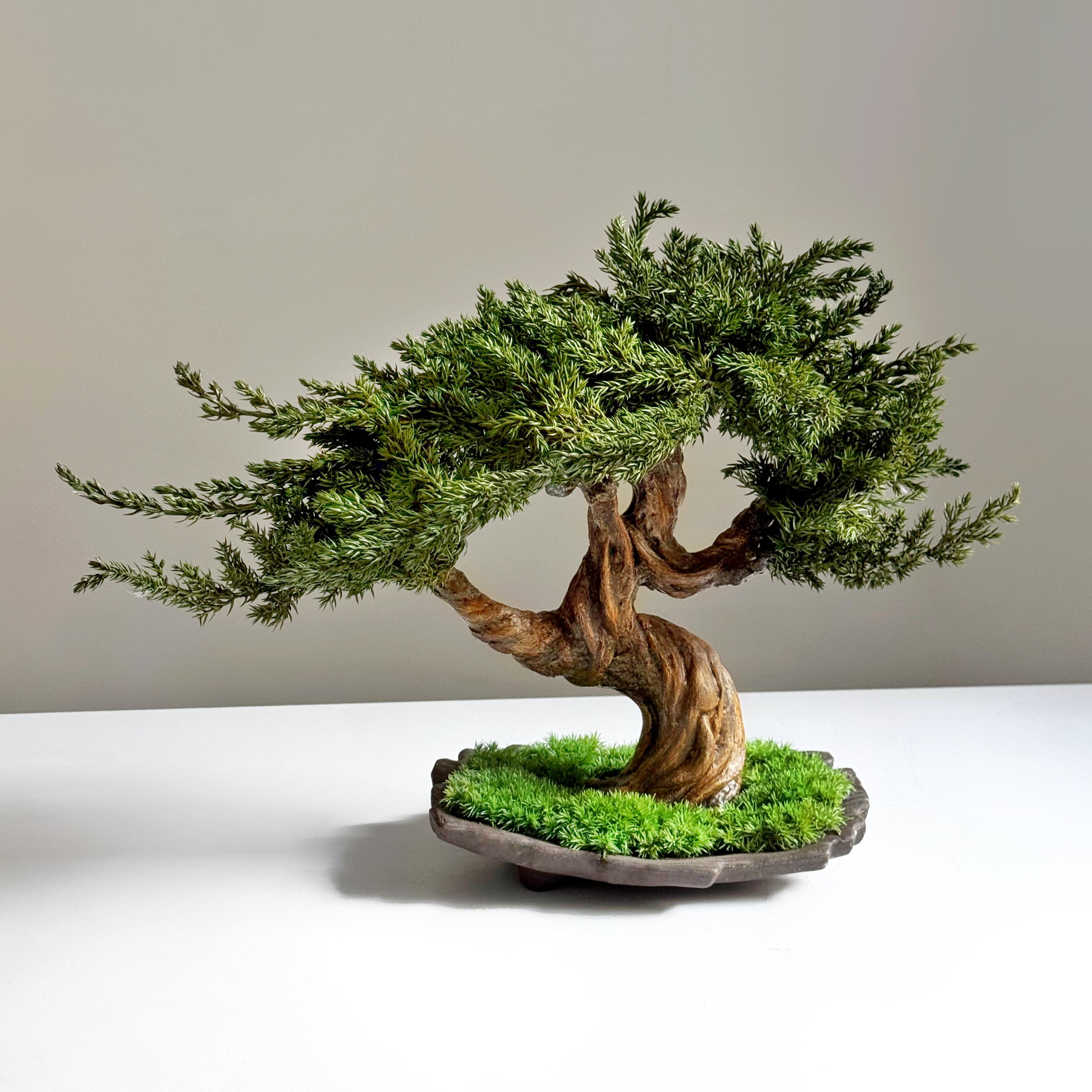 Бонсай зі стабілізованих рослин 32х24 см