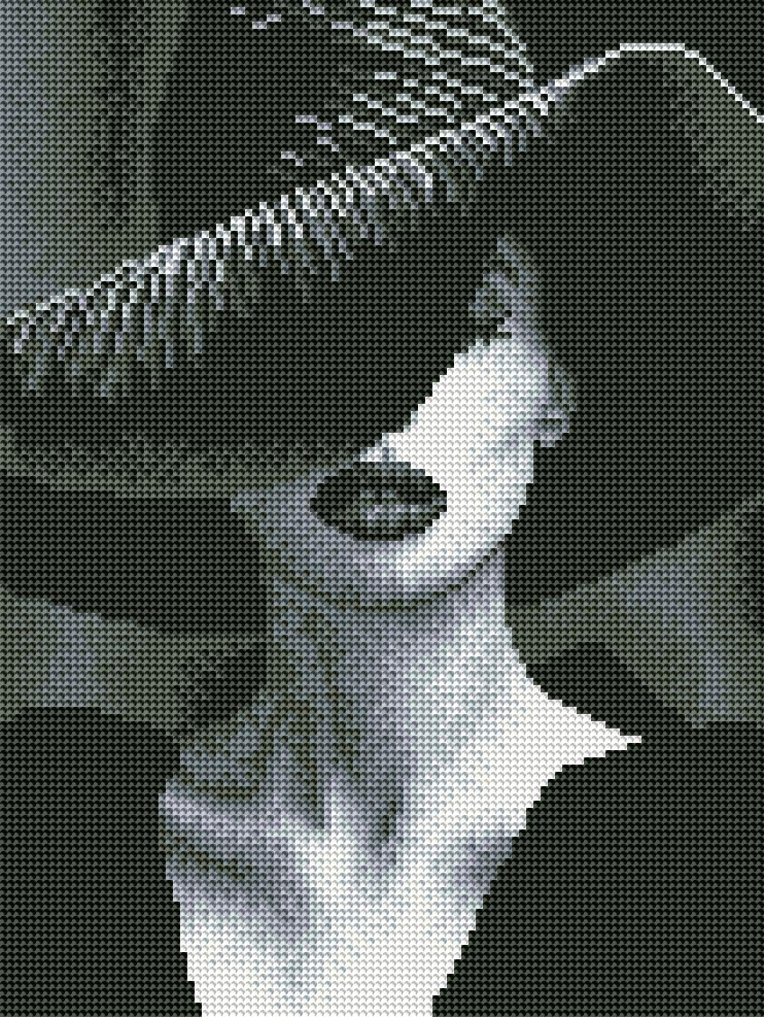 Алмазная мозаика Brushme Загадочная Дама 30x40 см (DRBS53937)