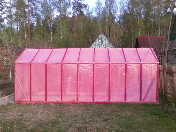 Плівка InterRais СТ світлостабілізуюча для теплиць 36 місяців 120 мкмг 6х10 м (1208) - фото 8