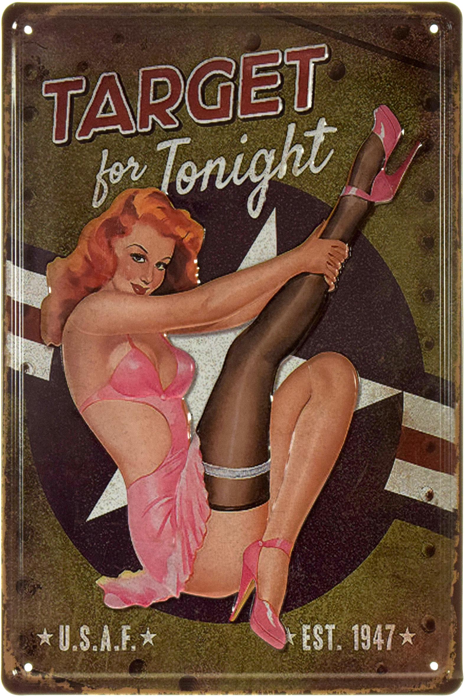 Табличка металлическая Цель На Сегодня/Target For Tonight Pin Up 20x30 см