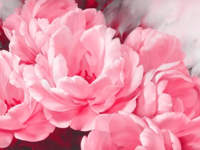 Алмазная мозаика Розовое Чудо 40x30 см (DIY- МС146)