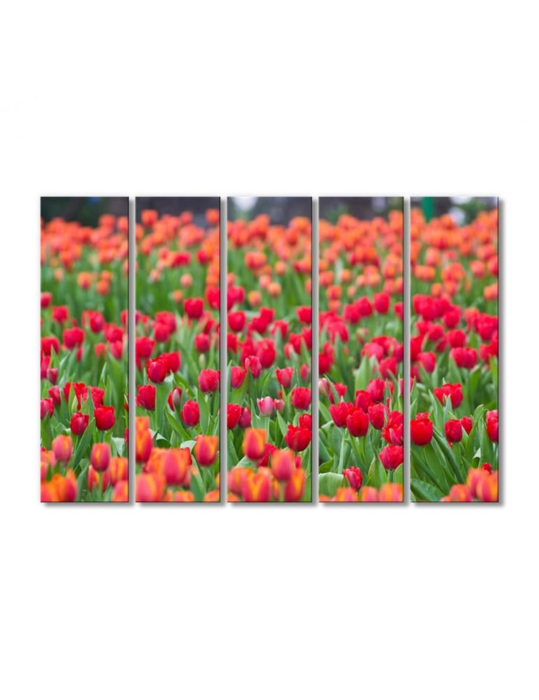 Картина модульная Поле алых тюльпанов 5 модулей 90x135 см