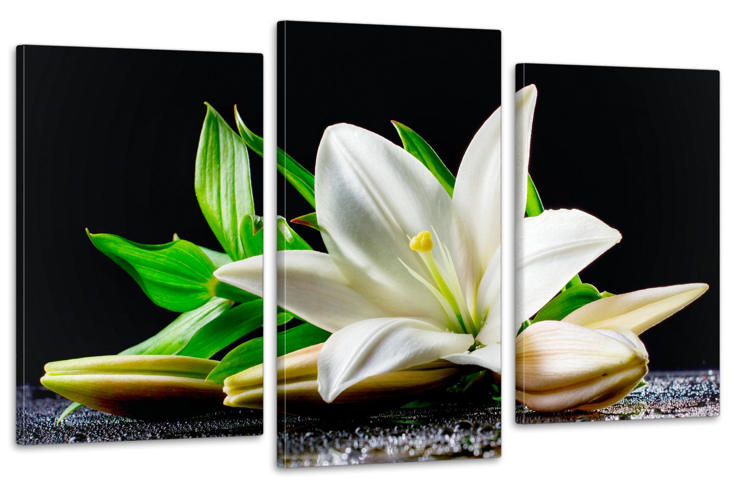 Картина модульная в гостиную/спальню Белая Лилия 53х100 см (Art-646_3)