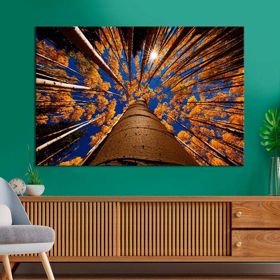 Картина природа Осенний лес вид снизу 80x54 см (A1143-1)