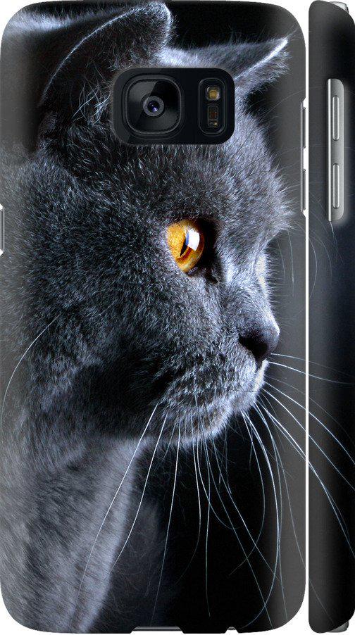 Чохол на Samsung Galaxy S7 G930F Гарний кіт (3038m-106-42517)