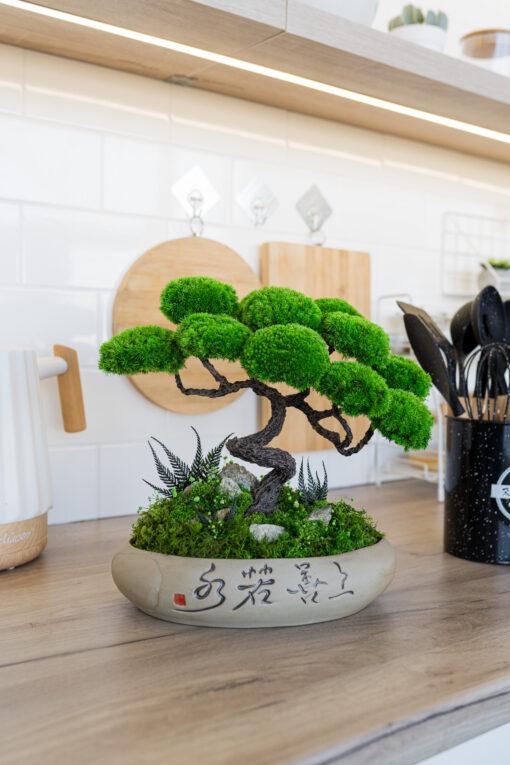 Бонсай стабілізований Самурай 31х32 см - фото 3