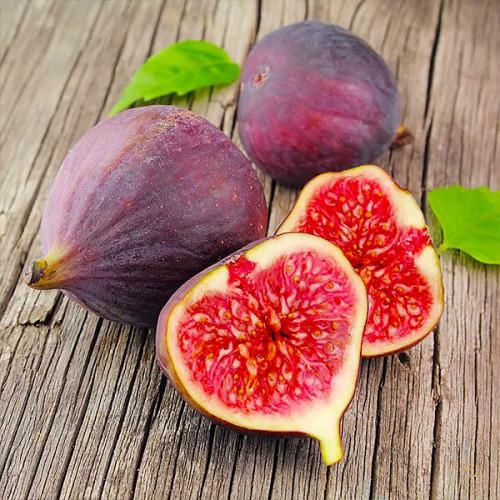 Саджанець інжиру Фіолетовий Абхазький ремонтантний самоплідний (610712668)