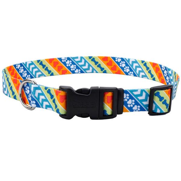 Ошейник для собак Coastal Pet Attire Styles (06421_RES14)