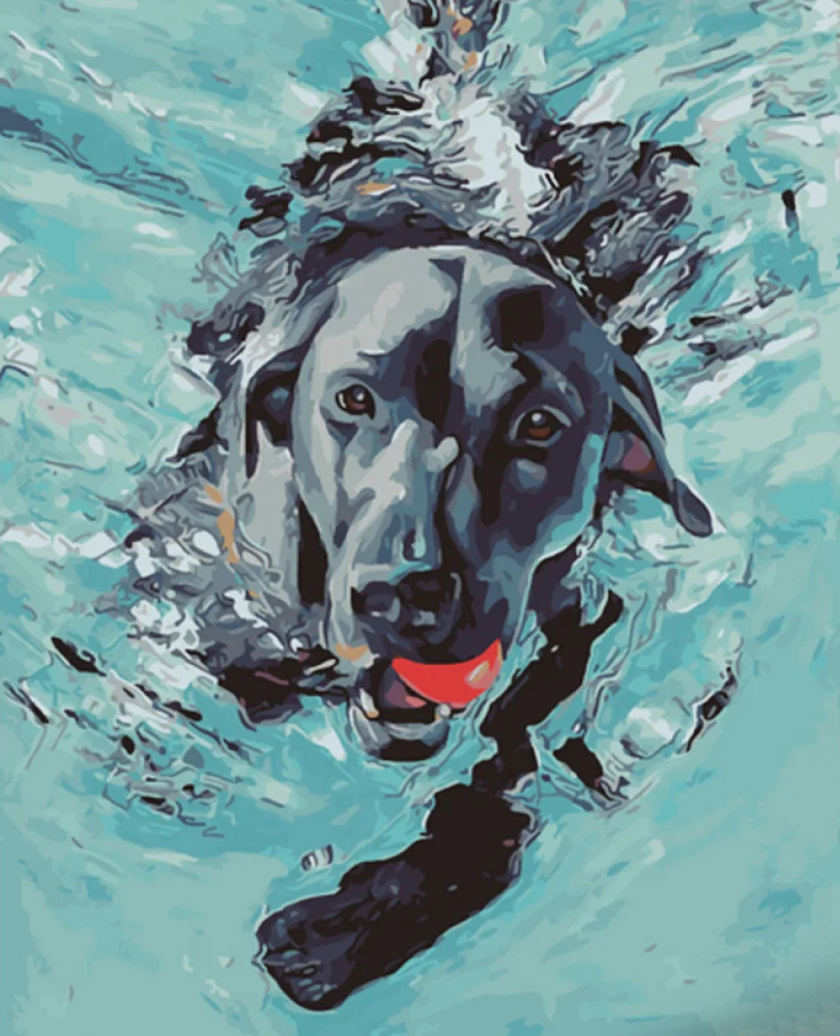 Картина по номерам Strateg Любитель поплавать 40x50 см (GS1095)