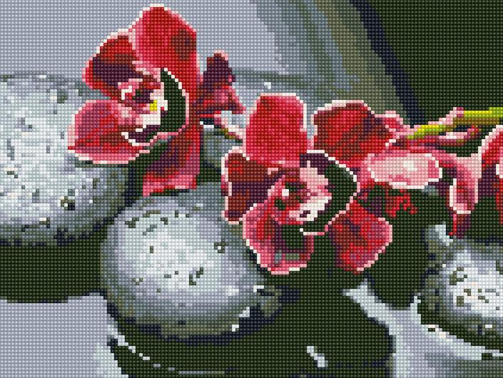 Алмазная мозаика Rainbow Art Орхидея на камнях 30x40 см (EJ1213)