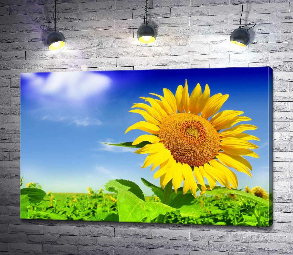 Картина ArtPoster Лохматый подсолнечник нежится в солнечном свете 130x85 см Модуль №1 (002815)