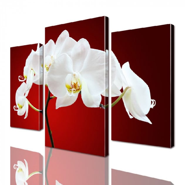 Картина модульная ArtStar Орхидея ADFL0018 120х180 см 3 части