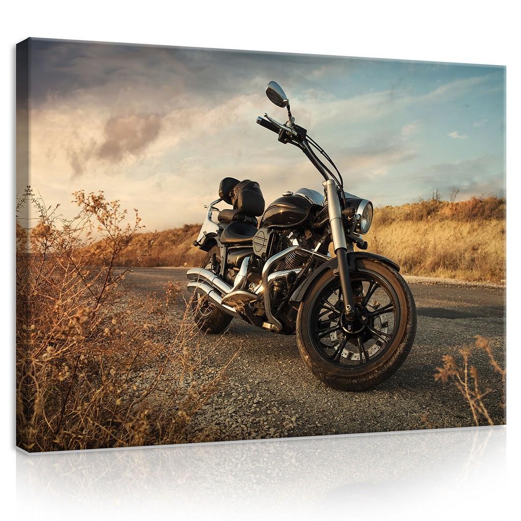 Картина на полотні 80х60 см Мотоцикл (PP11727O6)