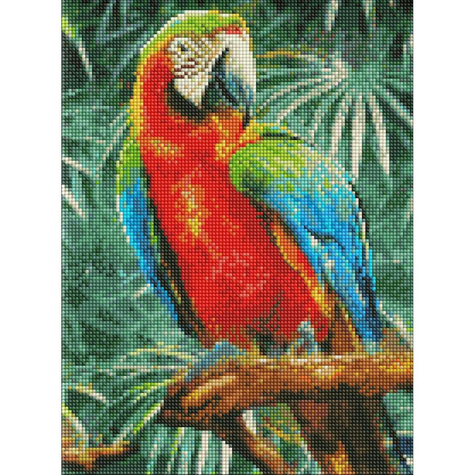 Алмазная мозаика Идейка Радужный красавец 30x40 см (AMO7492)