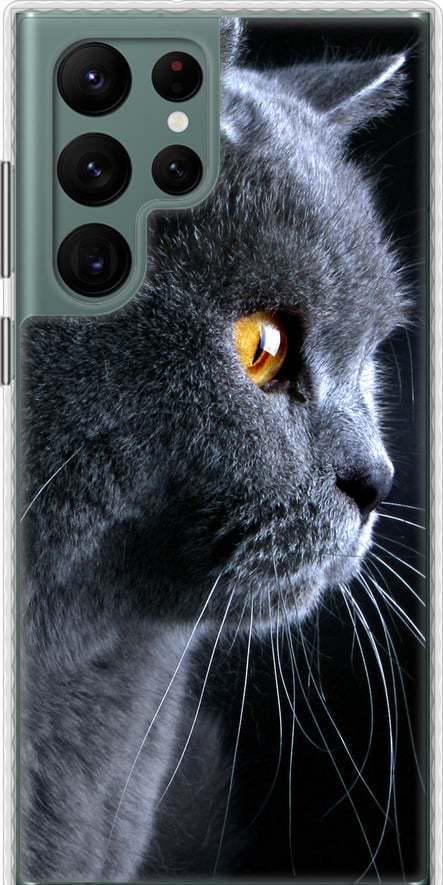 Чехол на Samsung Galaxy S22 Ultra Красивый кот (3038pc-2500-42517)