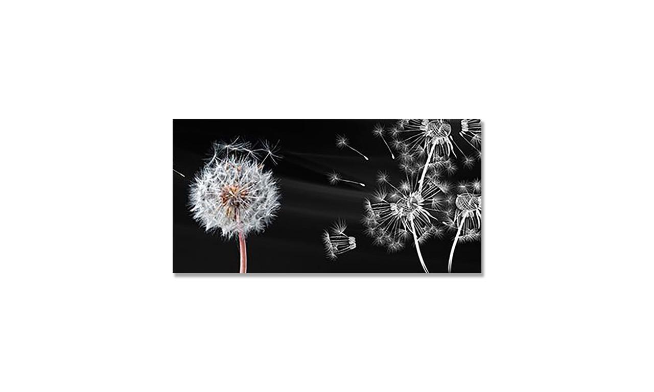 Наклейка виниловая на стол Zatarga Пушистый Одуванчик 600х1200 мм (1271805725)