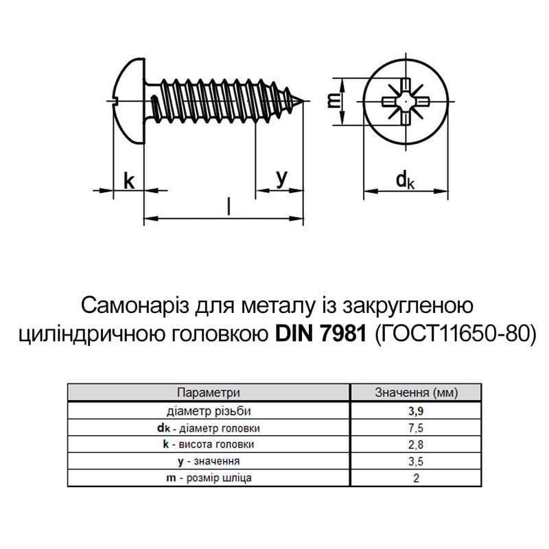 Саморез Metalvis DIN7981 3,9х6,5 PH2 полная резьба полукруглая головка белый цинк 1000 шт. (805200000805390620) - фото 2