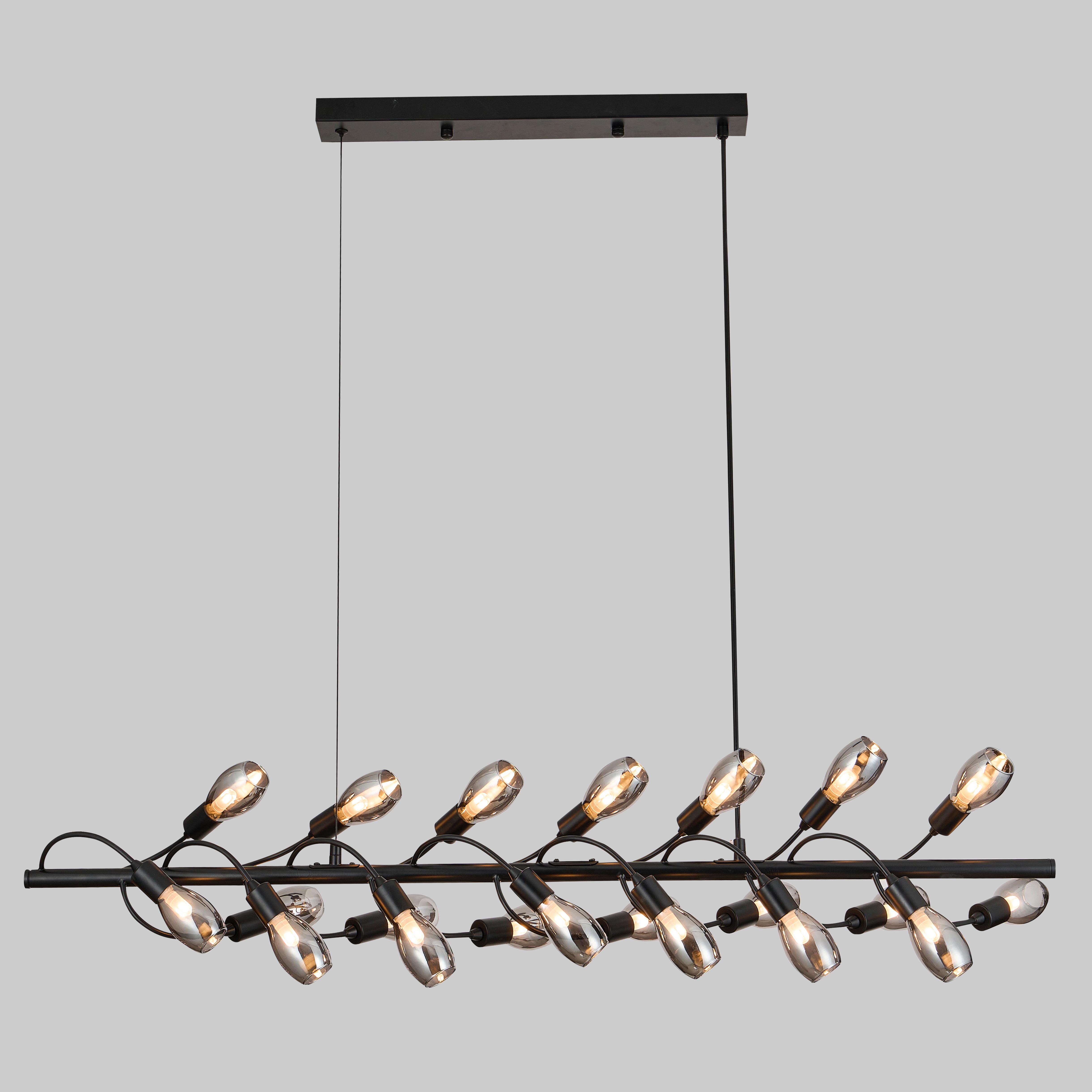 Люстра дизайнерская на 21 лампу Черный (88-P10106-21 BK+SM)