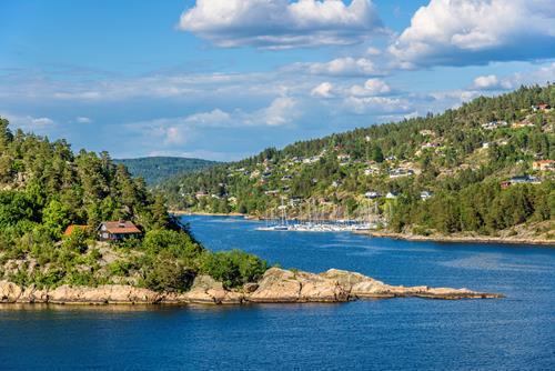 Картина на холсте Природа 50х70 см (PR240m)