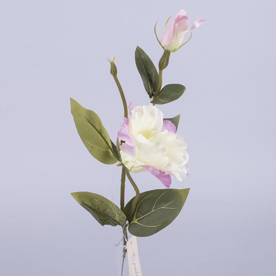 Еустома на тоненьком стебле