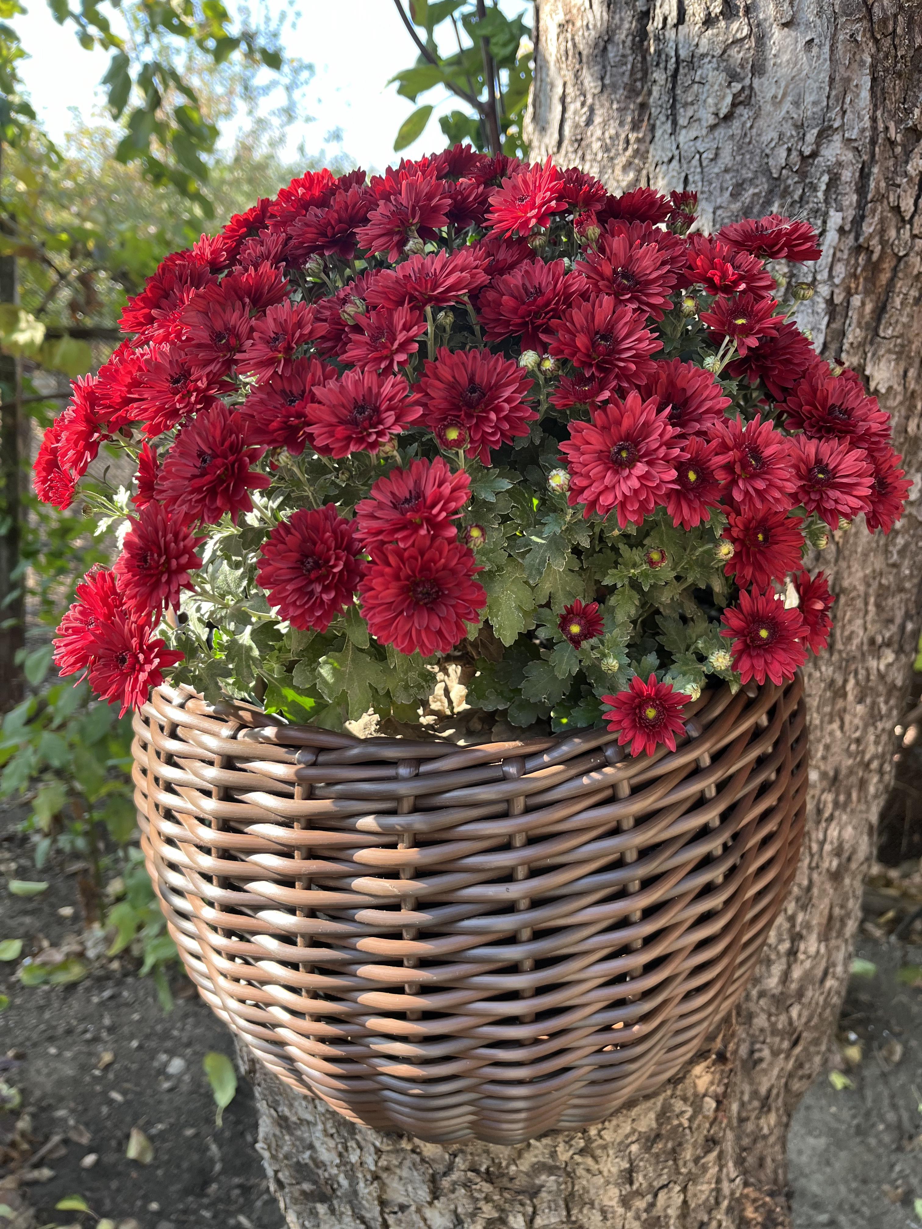 Кашпо для цветов из искусственного ротанга 12 л Меланж (27919425) - фото 1 Кашпо для цветов из искусственного ротанга 12 л Меланж (27919425) - фото 1