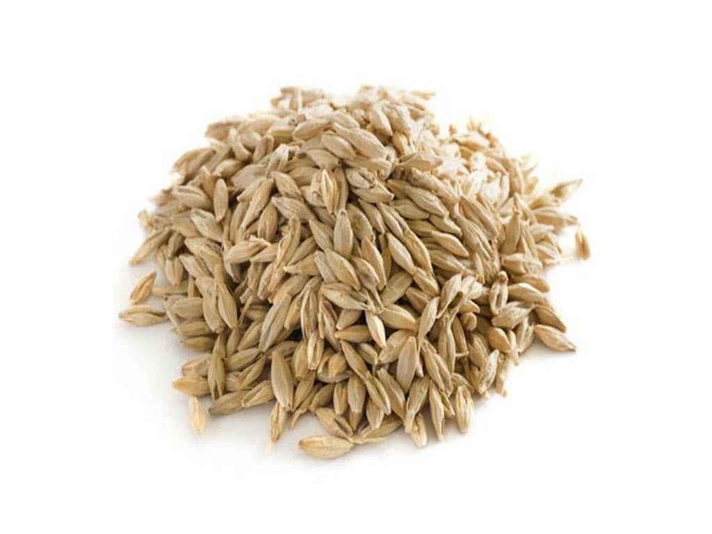 Овес посівний Насіння України в мішку 25 кг (445) Овес посівний Насіння України в мішку 25 кг (445)