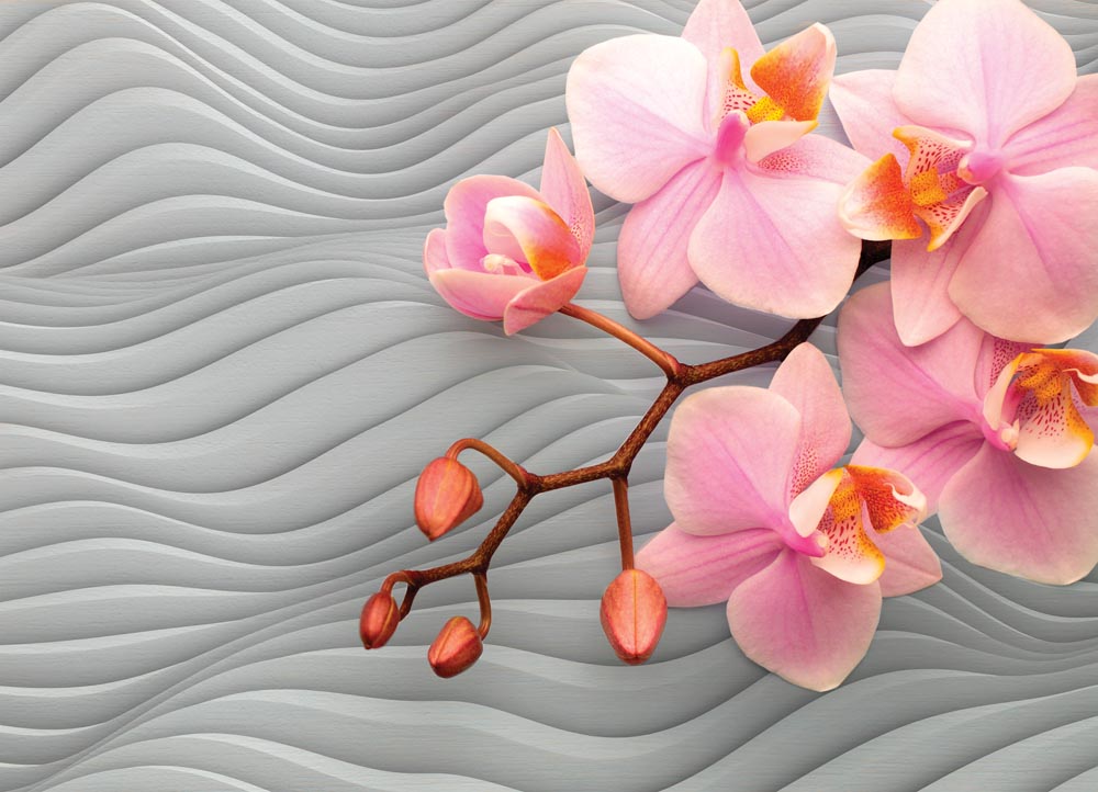Фотообои WS Wallpaper 3D орхидеи 360x260 см (31013) Фотообои WS Wallpaper 3D орхидеи 360x260 см (31013)