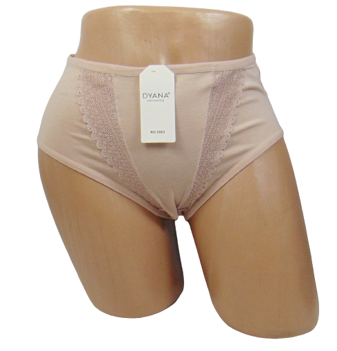 Женские трусы Diana 5663 3XL Кофейный (1679554291) Женские трусы Diana 5663 3XL Кофейный (1679554291)