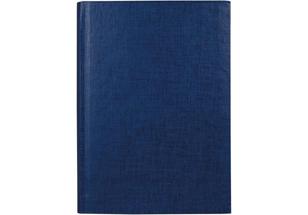 Ежедневник недатированный Economix Basic А5 320 стр. Синий (E22026)