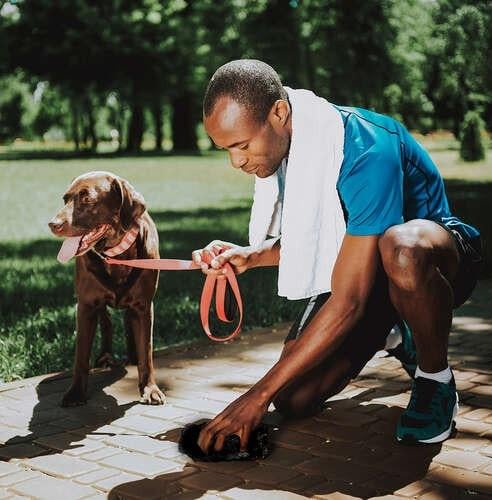 Пакети гігієнічні для прибирання екскрементів собак із чохлом 50 роликів 1000 шт. - фото 13