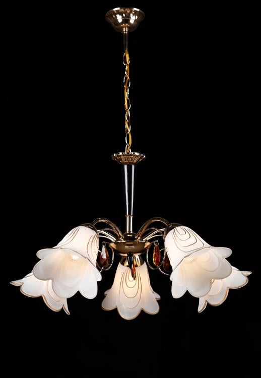 Люстра з плафонами Ray L80036/5 FGD (IR006058)