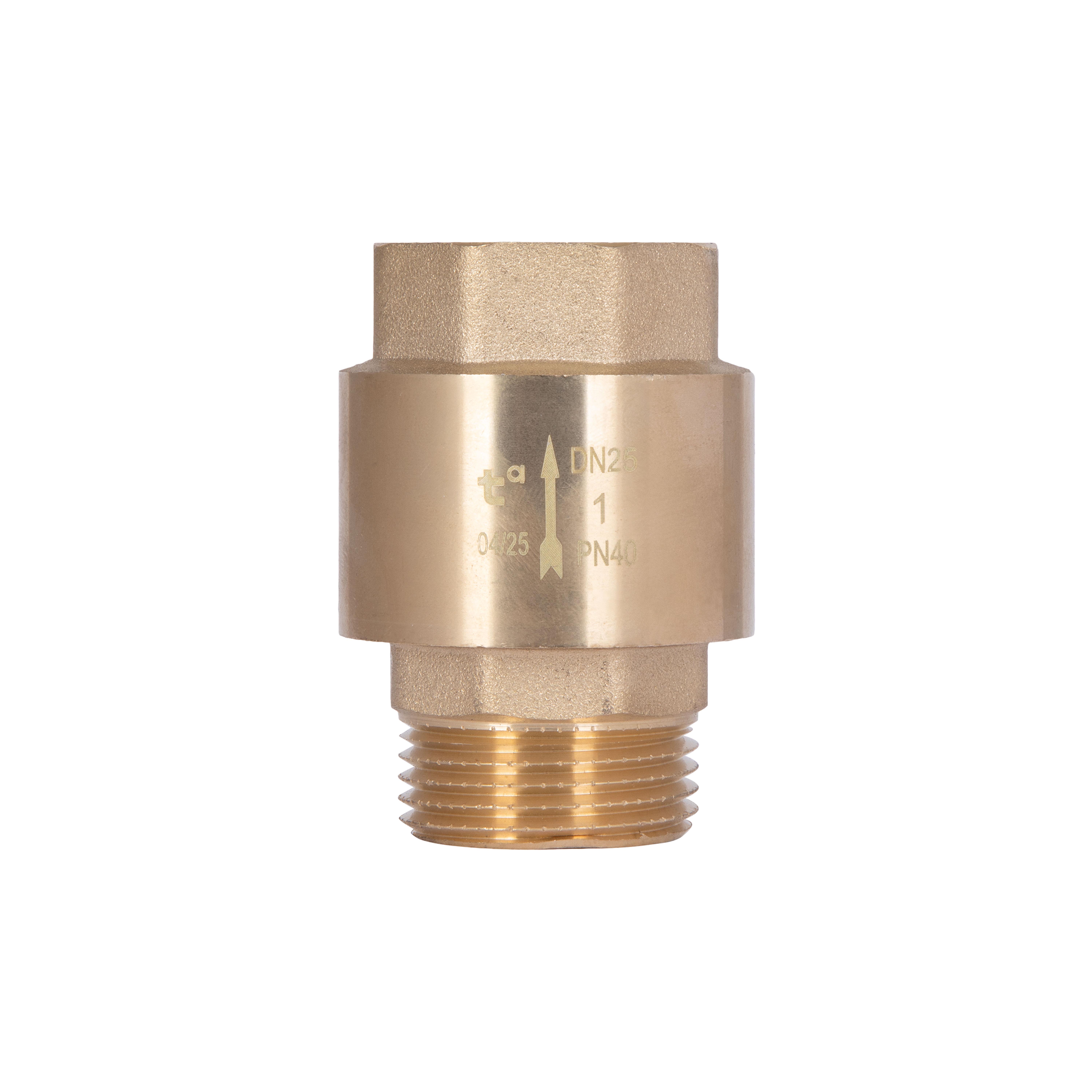 Клапан обратный Thermo Alliance Standart с латунным штоком 1" ВН (TAS248W25)