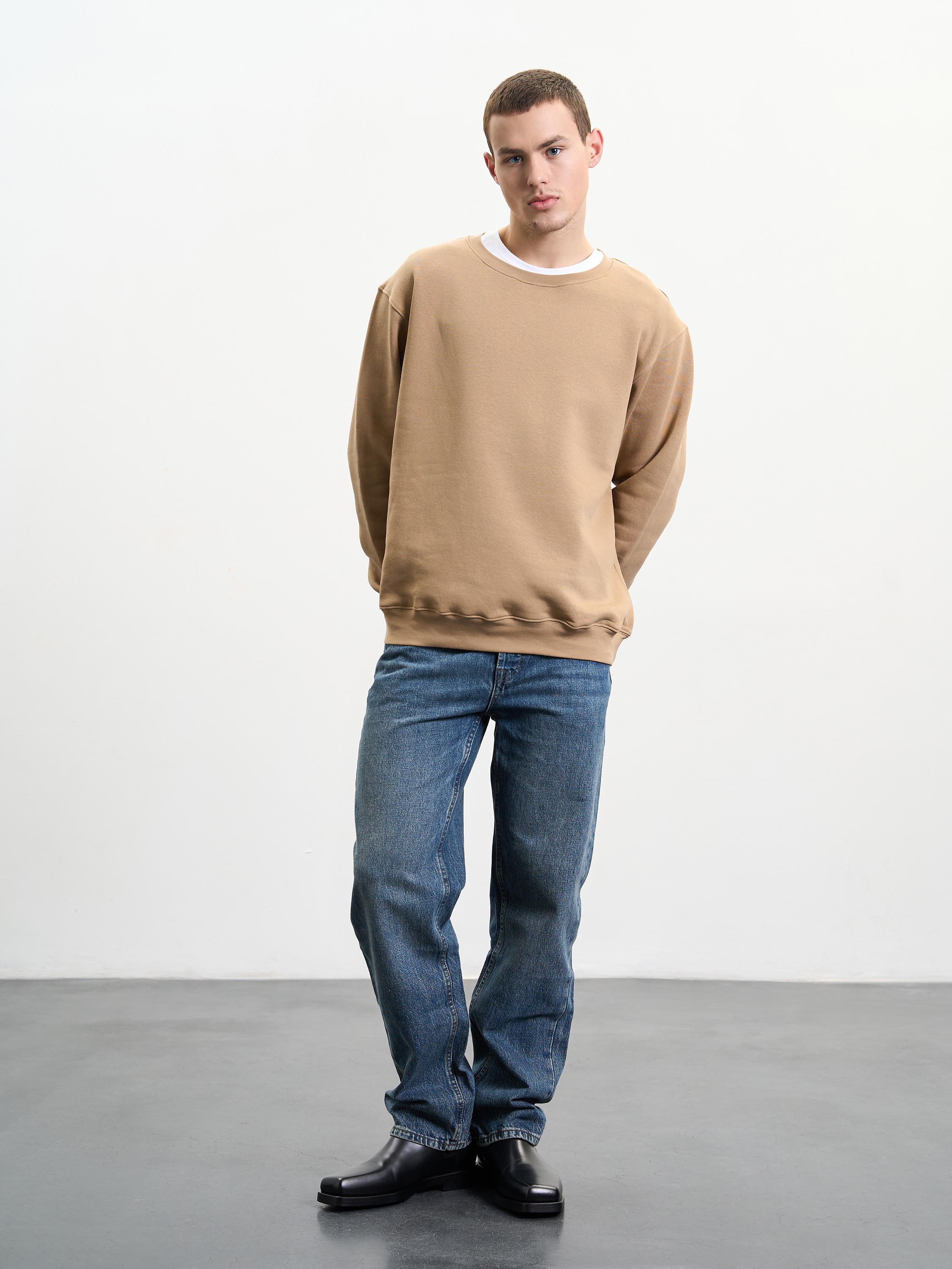 Свитшот мужской утепленный ROZA 240452 S Тофи (4824005710865) - фото 2 Свитшот мужской утепленный ROZA 240452 S Тофи (4824005710865) - фото 2