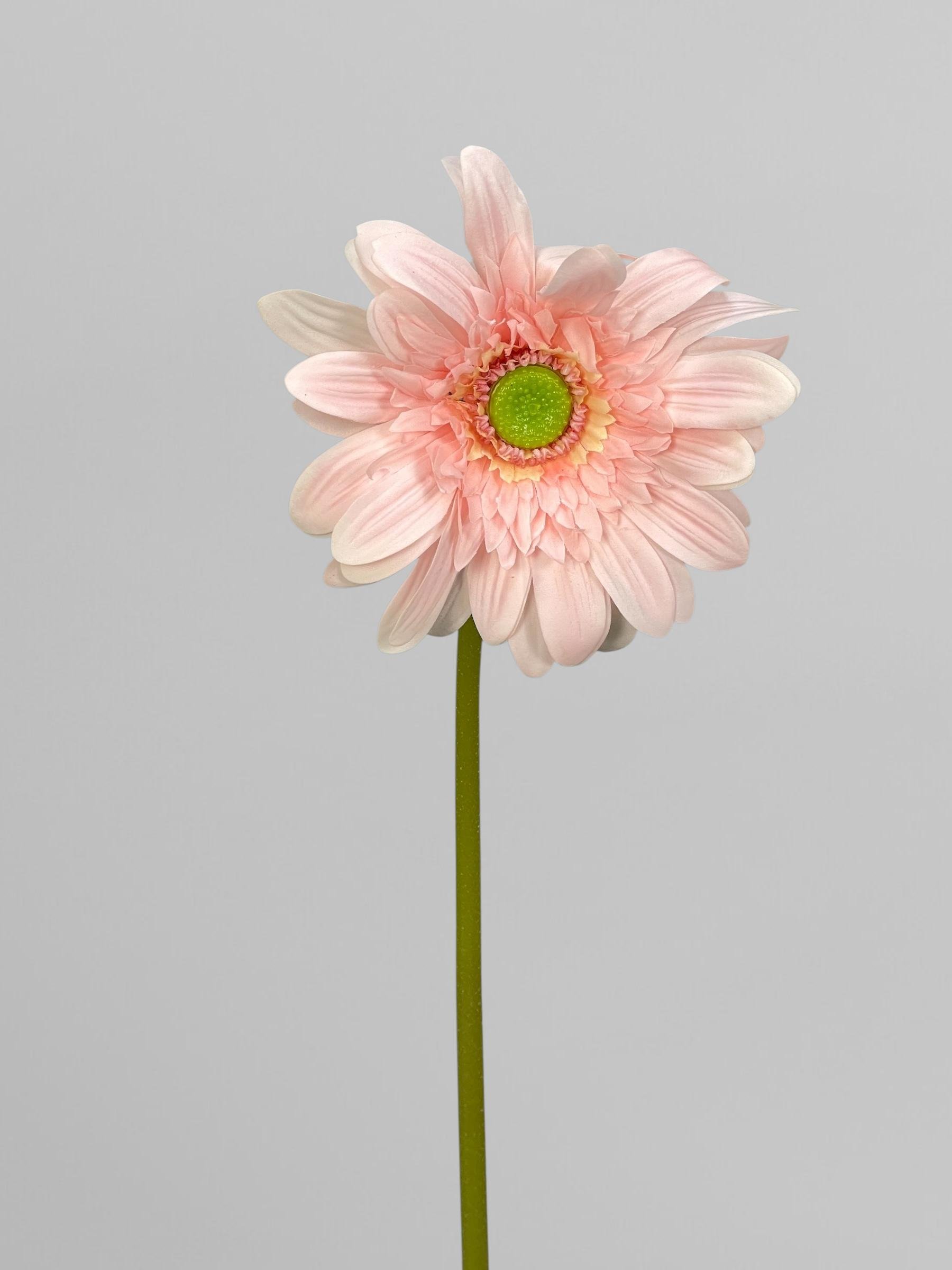 Искусственный цветок гербера на стебле 64 см Персиковый (К13294)