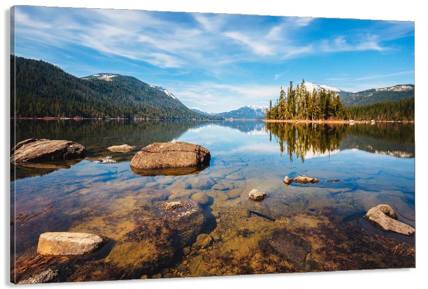 Картина на холсте в гостиную/спальню Природа 50х100 см (MLP_340)