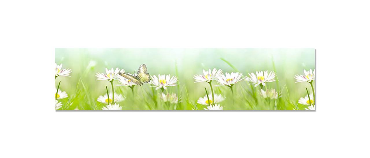 Наліпка вінілова на кухню Zatarga Польові Ромашки 600х2500 мм (1289776354) Наліпка вінілова на кухню Zatarga Польові Ромашки 600х2500 мм (1289776354)