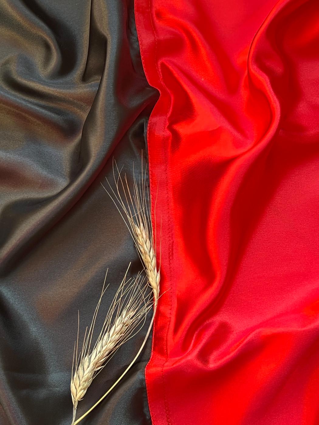 Флаг Ukraine prapor УПА из атласа