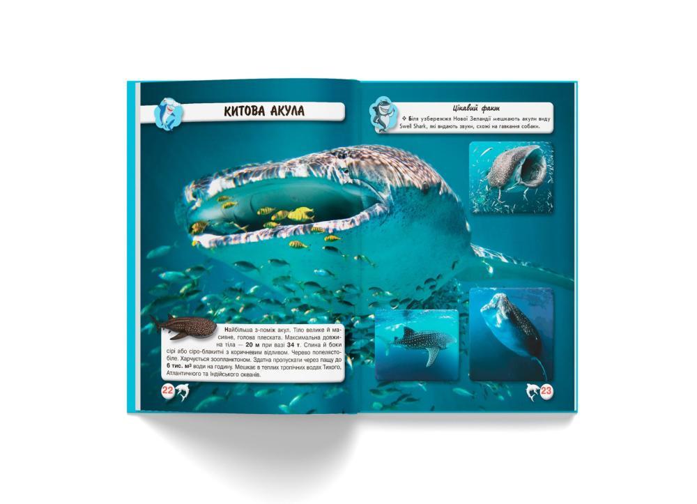 Книга "Світ навколо нас. Акули" Кристалл Бук (F00020894) - фото 4 Книга "Світ навколо нас. Акули" Кристалл Бук (F00020894) - фото 4