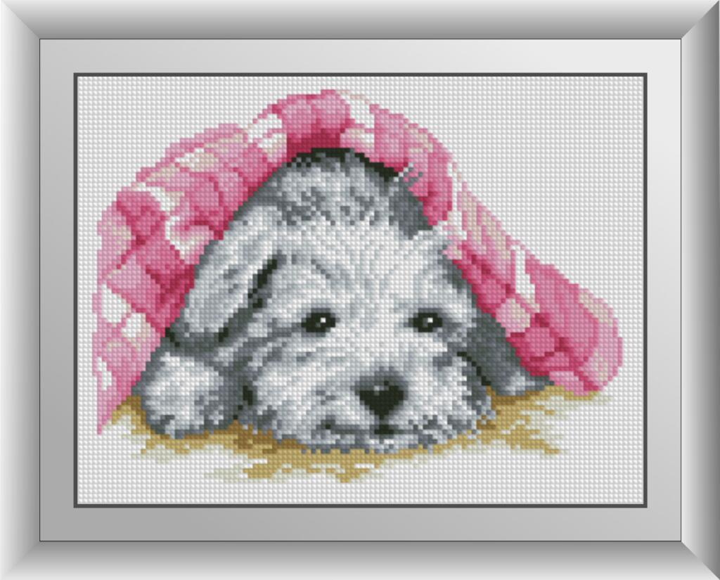 Алмазная мозаика Dream Art Спрятался 22x29 см (DA.30164)
