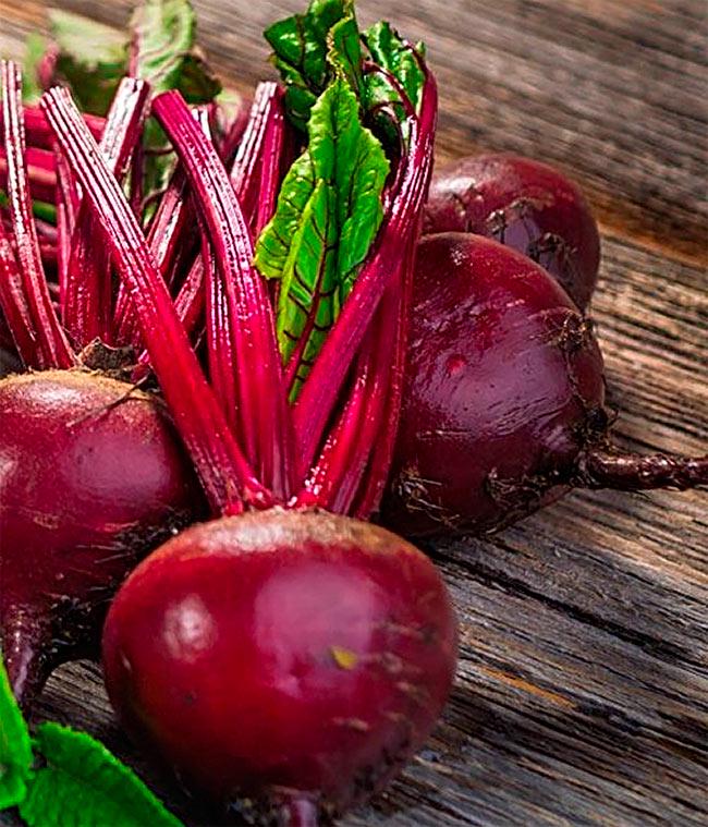 Семена Свекла Зепо F1 ТД Гекса-Украина 01-19-150 200 шт. (IR01146) Семена Свекла Зепо F1 ТД Гекса-Украина 01-19-150 200 шт. (IR01146)