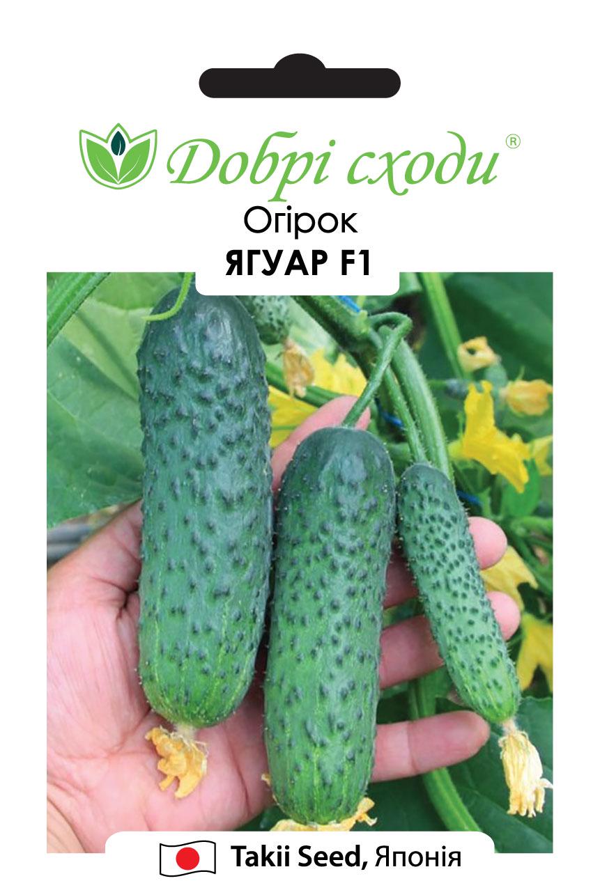 Семена огурец Ягуар F1 Добрі Сходи 10 шт. (01010141)