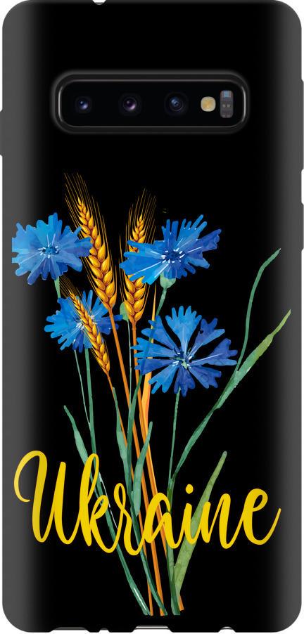 Чехол на Samsung Galaxy S10 Ukraine v2 (5445b-1640-42517)