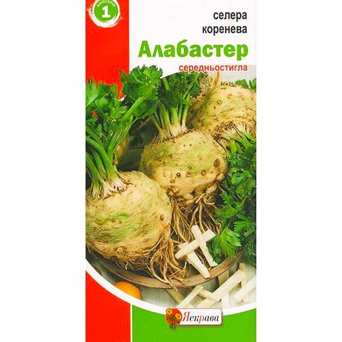 Насіння Селера Florium кореневий Алабастер (12175) - фото 2 Насіння Селера Florium кореневий Алабастер (12175) - фото 2