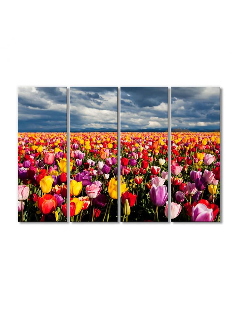 Картина модульная Поле тюльпанов и грозовое небо 4 модуля 80x120 см (221548cvety_i_rasteniya)