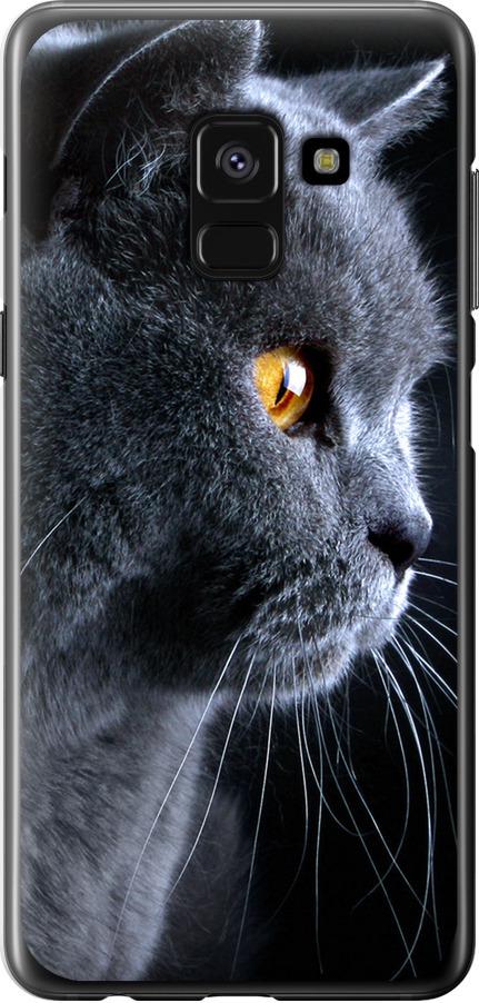 Чехол на Samsung Galaxy A8 2018 A530F Красивый кот (3038t-1344-42517)
