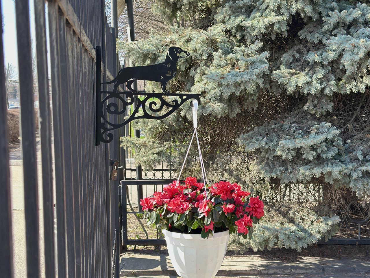 Кронштейн Такса для кашпо с цветами метал Черный (М017) - фото 6
