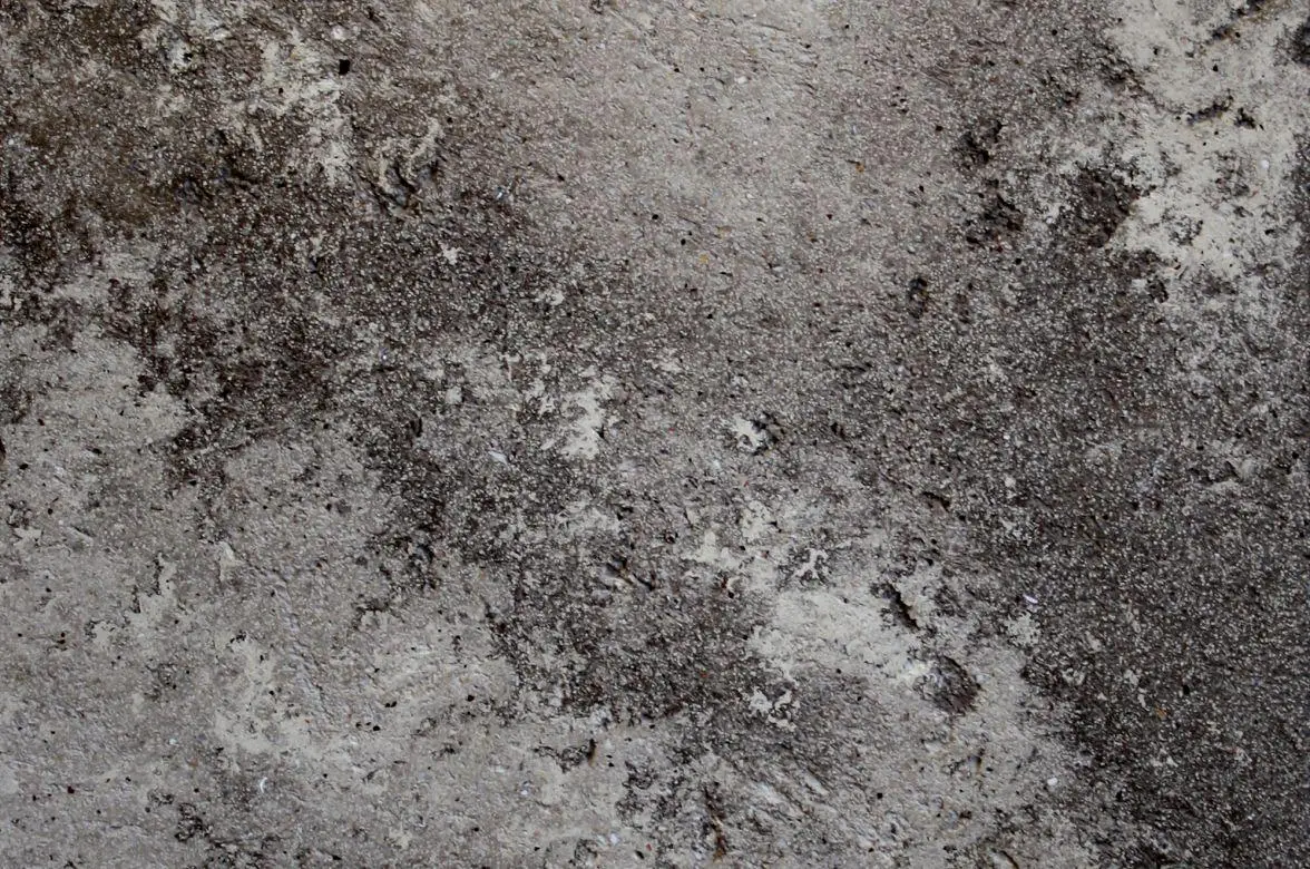 Декоративна паста Elf Decor Art Stone Paste Nero Portoro 1,5 кг Бежевий (2776706789) - фото 2 Декоративна паста Elf Decor Art Stone Paste Nero Portoro 1,5 кг Бежевий (2776706789) - фото 2