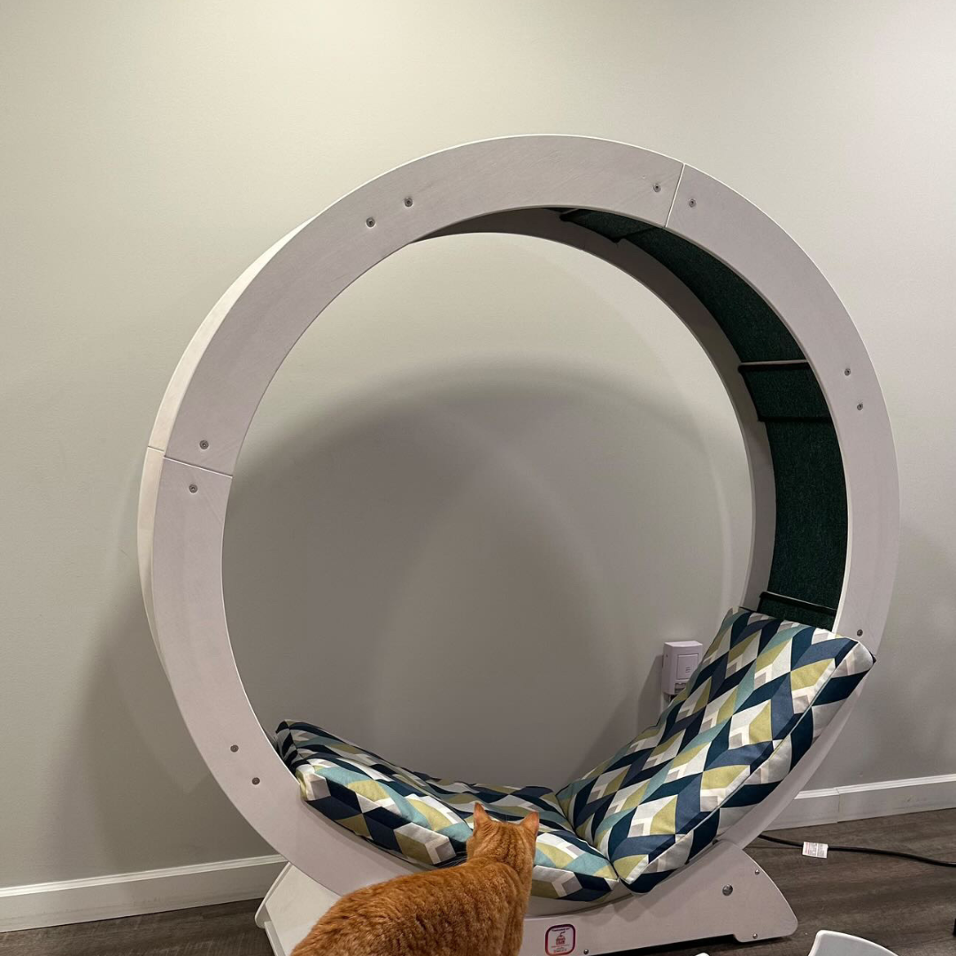 Колесо бігове для котів М Білий - фото 7 Колесо бігове для котів М Білий - фото 7