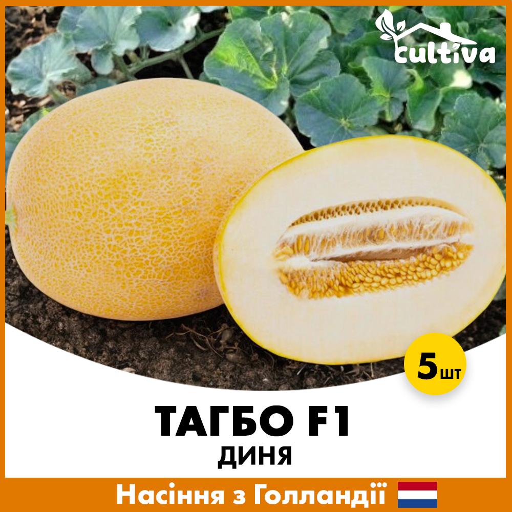 Семена дыни Rijk Zwaan Тагбо F1 5 шт. (R51026)