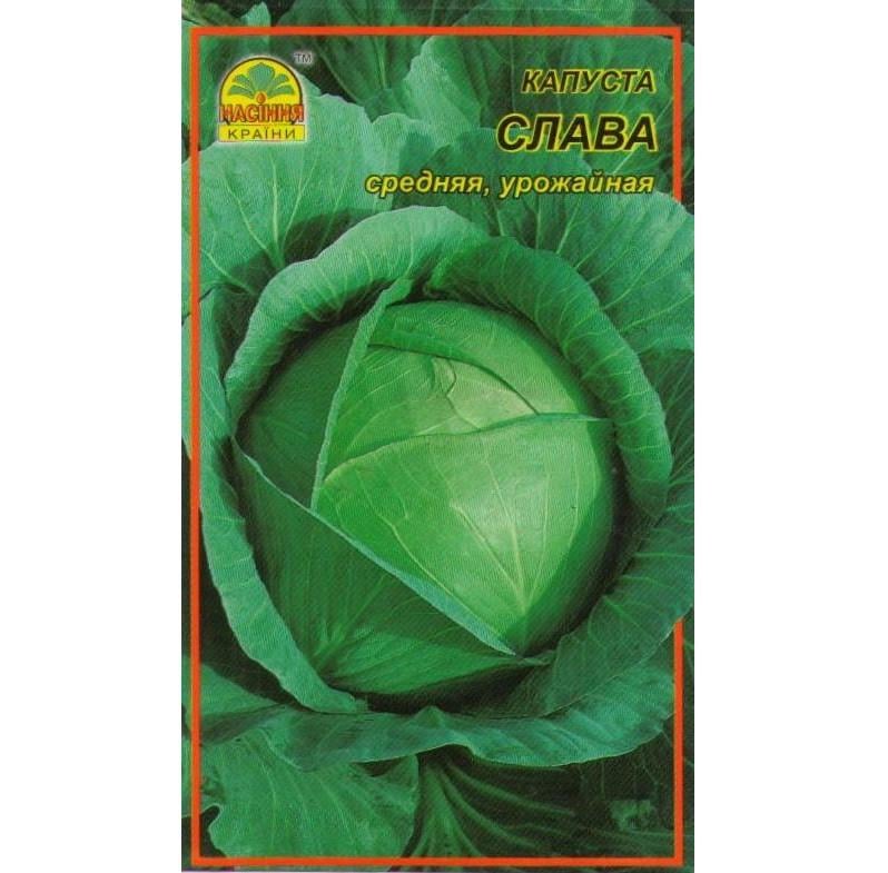 Семена капусты Насіння країни Слава 1 г (1137297636)